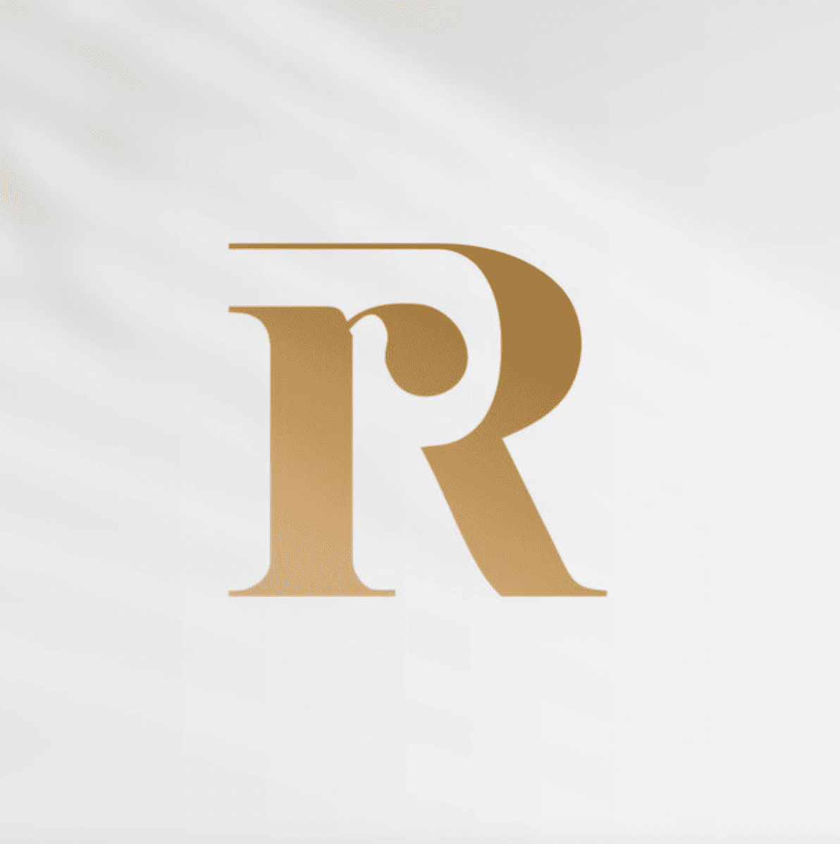 Develoepr logo